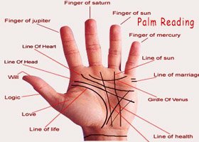 Palm Reading